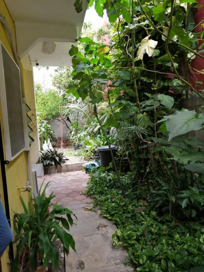 Gaviota Apartment Playa del Carmen Luaran gambar